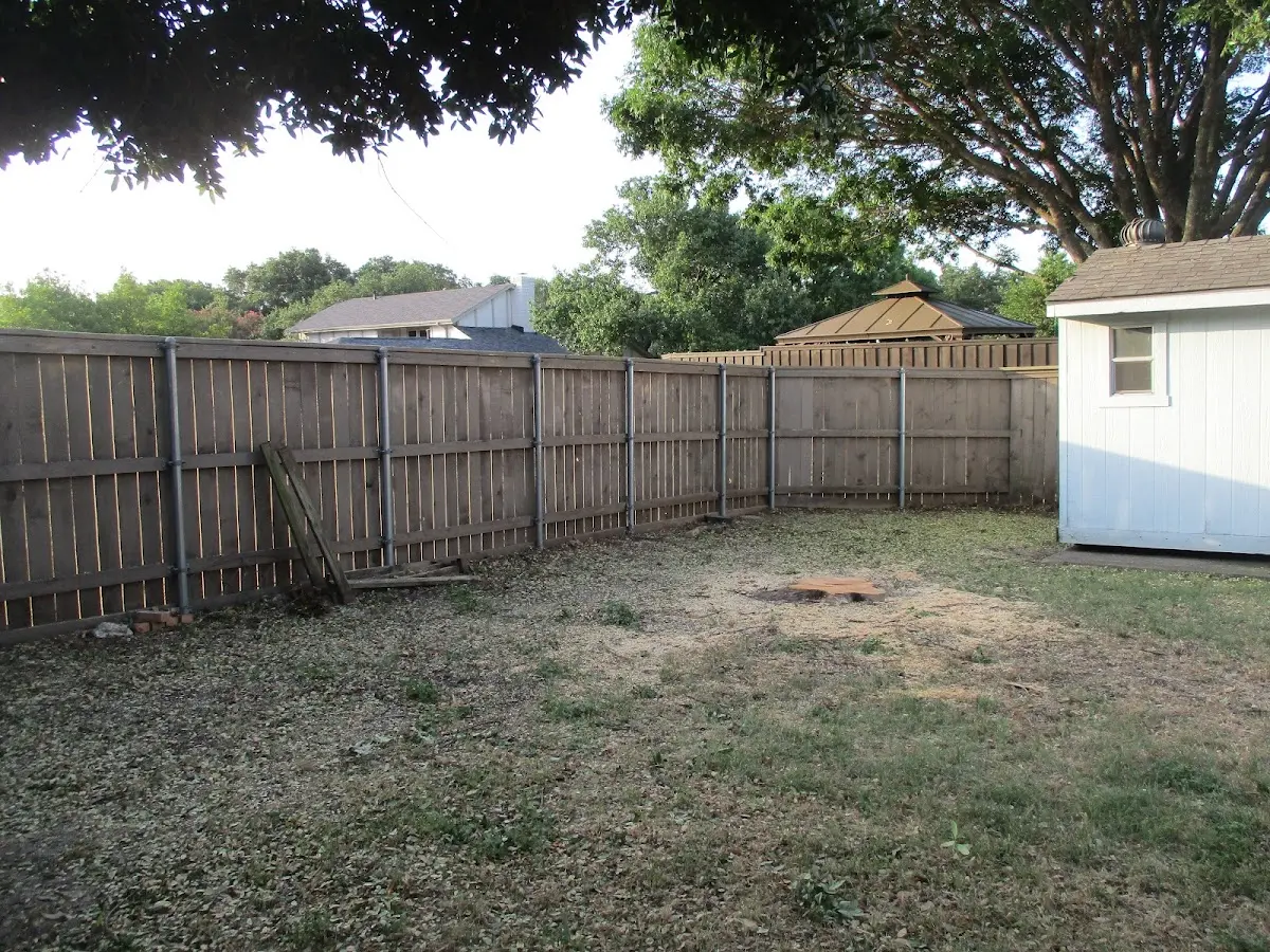 Cleared yard after professional tree removal in Meyersville